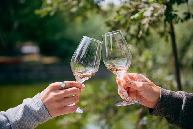 San Francisco Super Saver: Muir Woods & Wine Country w/ optional Gourmet Lunch - Muir Woods National Monument: a focused one-hour walk