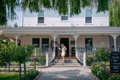San Francisco Super Saver: Muir Woods & Wine Country w/ optional Gourmet Lunch - Golden Gate Bridge photo stop at North Vista Point