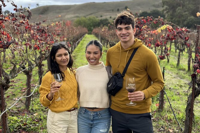 San Francisco Super Saver: Muir Woods & Wine Country w/ optional Gourmet Lunch - Sonoma Plaza lunch break: where you can choose your pace