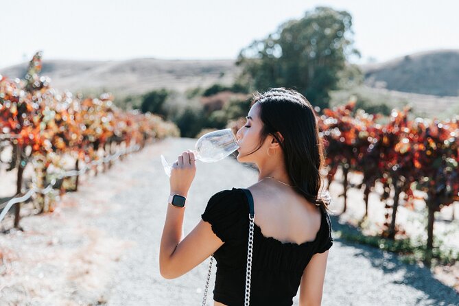 San Francisco Super Saver: Muir Woods & Wine Country w/ optional Gourmet Lunch - Mayo Family Winery in Sonoma: boutique, single-vineyard style