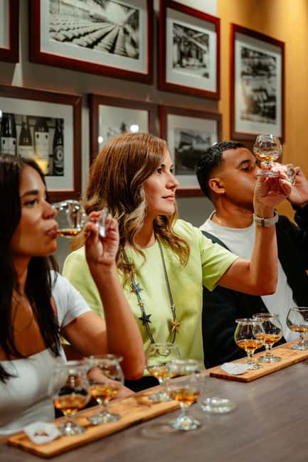 San Juan: Casa Bacardi Distillery Tour - The 45–75 minute flow: what happens first