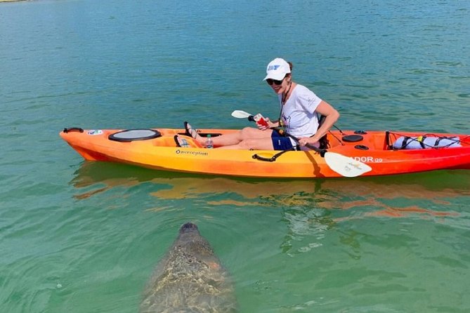 Sarasota Guided Mangrove Tunnel Kayak Tour - Meeting at 190 Taft Dr and getting on the water