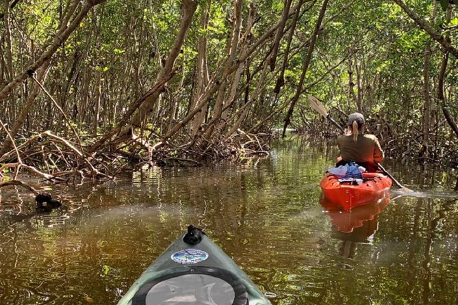 Sarasota Guided Mangrove Tunnel Kayak Tour - Price and value: what $59 buys you in Sarasota