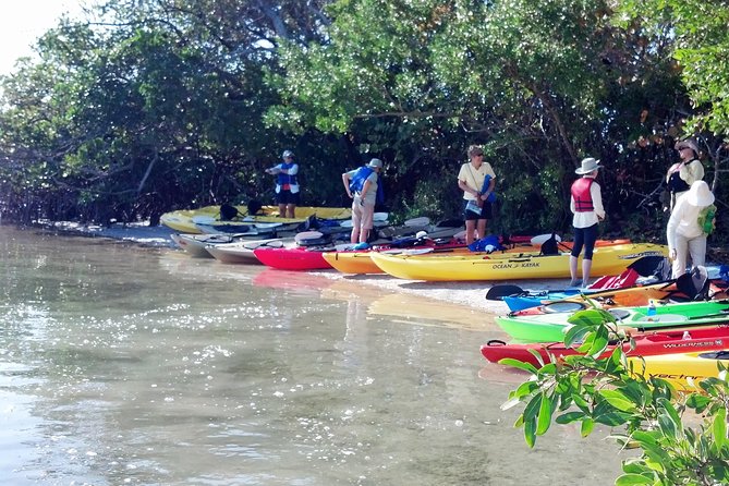 Sarasota Guided Mangrove Tunnel Kayak Tour - Weather, packing, and small tips that matter on Lido Key