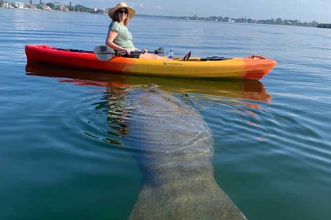 Sarasota Mangrove Tunnel Guided Kayak Adventure - At Ted Sperling Nature Park: where you start and what that means