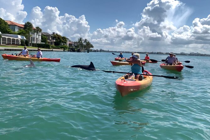 Sarasota Mangrove Tunnel Guided Kayak Adventure - The “first time kayaking” reality check (and how this tour handles it)