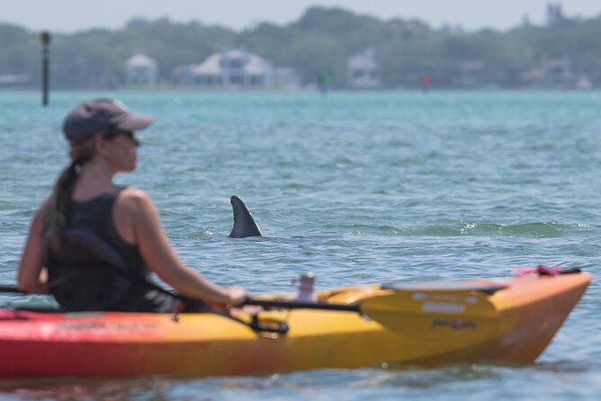 Sarasota Mangrove Tunnel Guided Kayak Adventure - Is this Sarasota mangrove tunnel kayak worth booking?