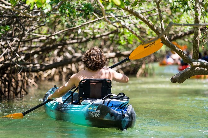 Sarasota Mangrove Tunnel Guided Kayak Adventure - FAQ