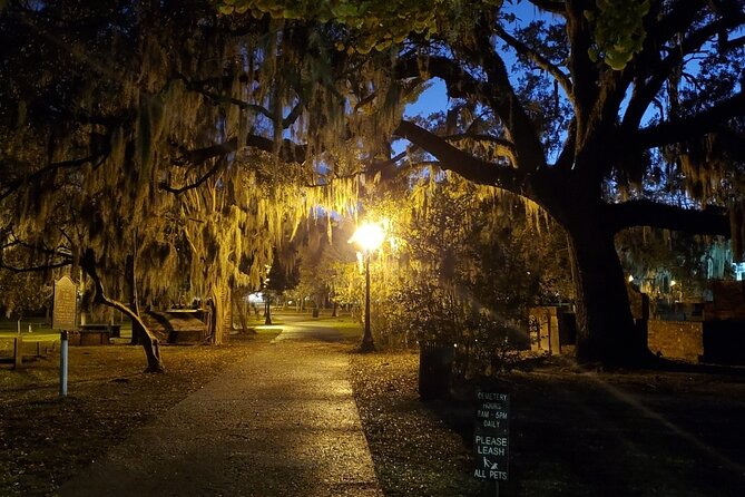 Savannah History and Haunts Candlelit Ghost Walking Tour - Key Highlights I’d Prioritize