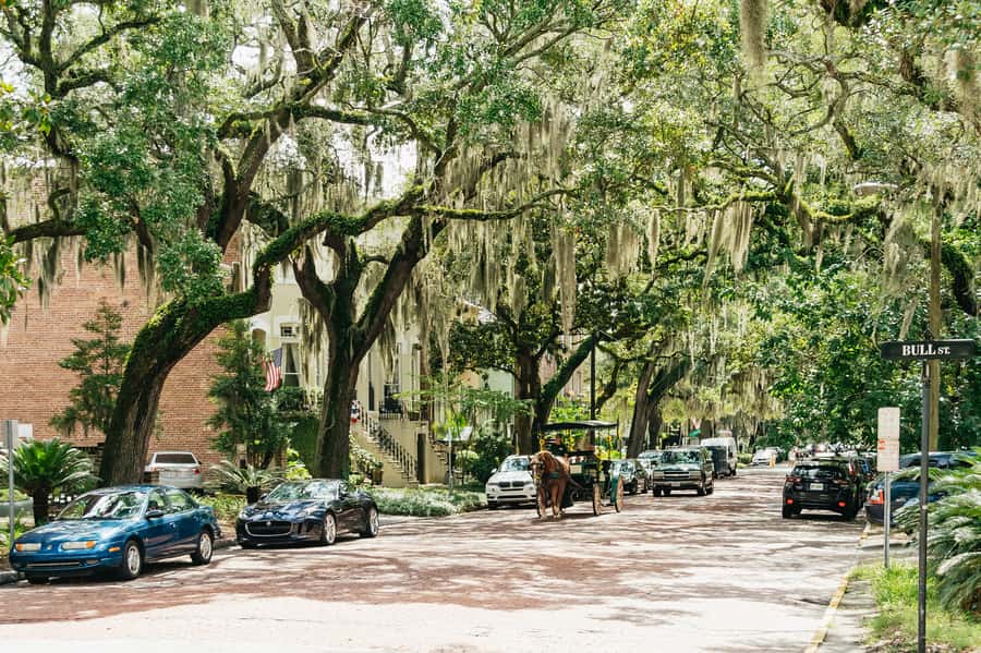 Savannah: Old Savannah Tours Historic Overview - Price and Value: Why $35 Can Be a Smart Move