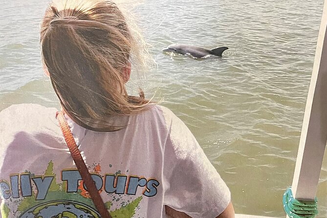 Savannah to Tybee Island with Dolphin Cruise - The land part: stories on the way to Tybee Island
