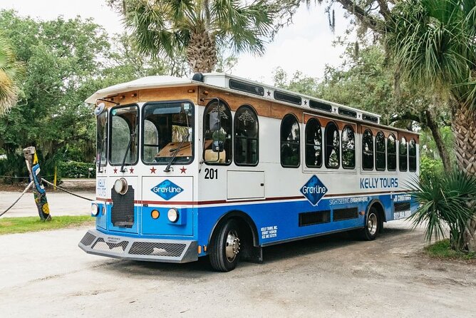 Savannah to Tybee Island with Dolphin Cruise - Dolphin cruise: wildlife, landmarks, and real-world sea conditions