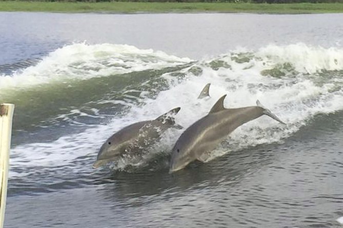Savannah to Tybee Island with Dolphin Cruise - Price and value: what $73.83 gets you (and what costs extra)