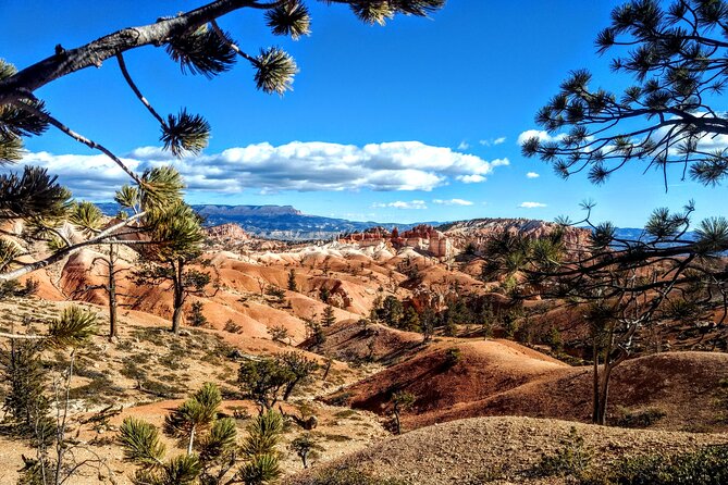 Scenic Tour of Bryce Canyon - Quick Hits: What Makes This Bryce Canyon Tour Work
