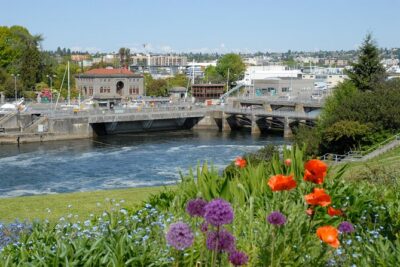 Seattle City Highlights Tour - The mini-coach ride: what you actually see from the windows