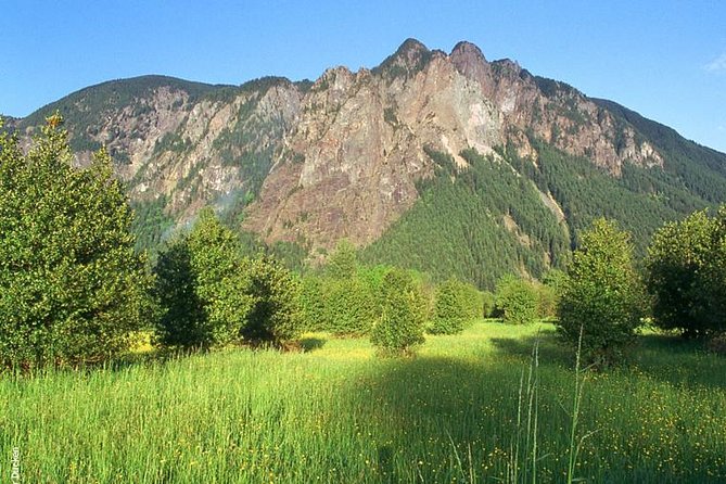 Seattle Wine & Snoqualmie Falls Highlights Tour - Snoqualmie Falls: 30 minutes that can still feel huge