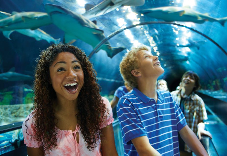 SeaWorld Orlando: Park Admission Ticket - A Full-Day Plan That Works: Coasters first, animal time after