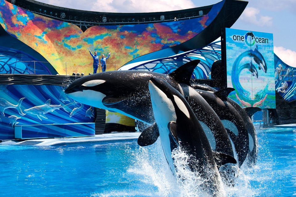 SeaWorld Orlando: Park Admission Ticket - Price and value at about $87 per person
