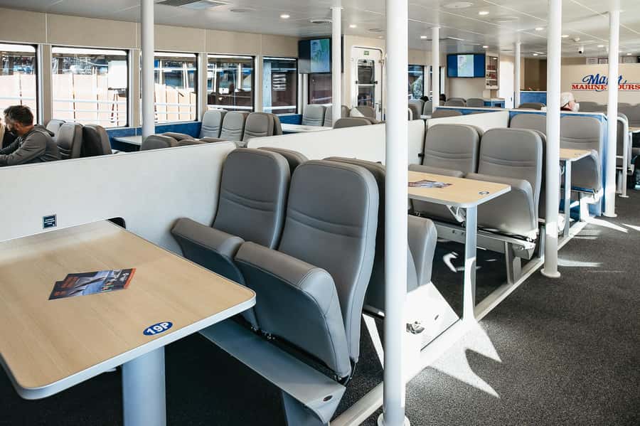 Seward: Kenai Fjords National Park Catamaran Cruise w/Lunch - Should you book this Seward Kenai Fjords cruise?