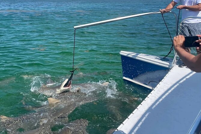 Shark and Wildlife Viewing Adventure in Key West - Why the Guides Matter on This Tour (Clay, Matt, and the Team)