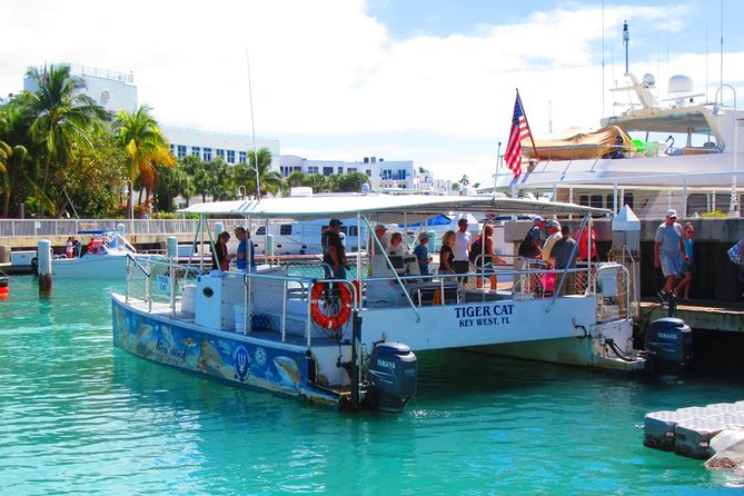 Shark and Wildlife Viewing Adventure in Key West - Weather Reality: Why Cold Fronts Change the Show