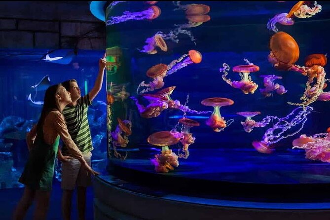 Shark Reef at Mandalay Bay Hotel and Casino - Shark Reef at Mandalay Bay: the desert-to-sea switch you actually feel