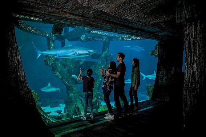 Shark Reef at Mandalay Bay Hotel and Casino - Touchpool and the interactive saltwater zone: the hands-on payoff