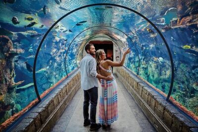Shark Reef at Mandalay Bay Hotel and Casino - Ticket-to-tank flow: what happens when you arrive at Mandalay Bay