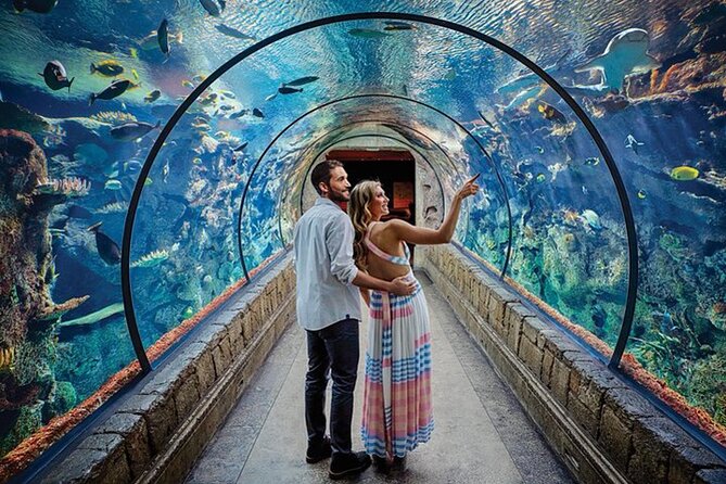 Shark Reef at Mandalay Bay Hotel and Casino - Ticket-to-tank flow: what happens when you arrive at Mandalay Bay