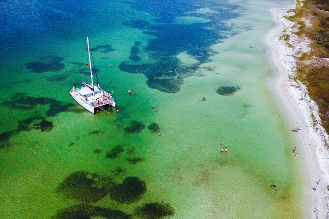 Shell Island Snorkel and Dolphin Catamaran Cruise with Island Time - Key highlights you should care about