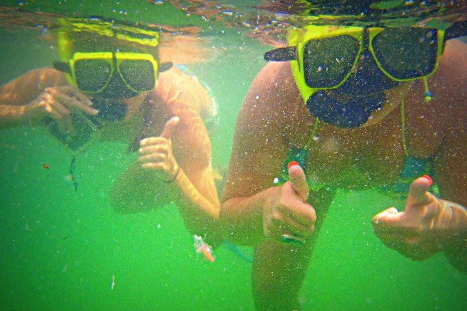 Shell Island Snorkel and Dolphin Catamaran Cruise with Island Time - Should you book Island Time Sailing’s Shell Island catamaran?