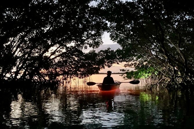 Shell Key Clear Kayak Sunset & Glow Tours - Shell Key Preserve glow kayaking: the real reason it’s fun