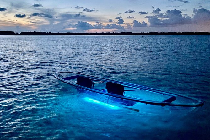 Shell Key Clear Kayak Sunset & Glow Tours - Wildlife spotting in a glowing clear kayak: what the LEDs actually help with