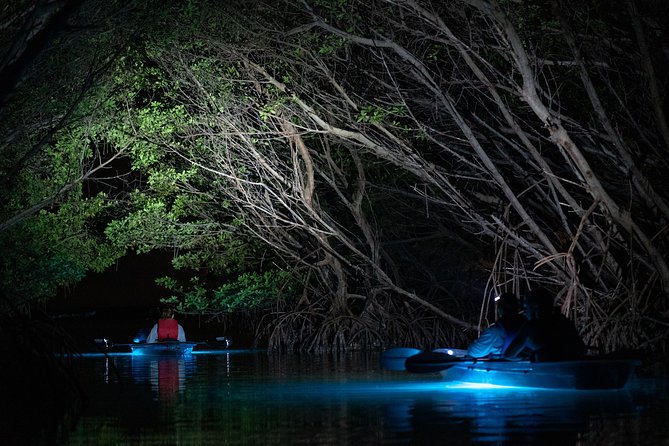 Shell Key Clear Kayak Sunset & Glow Tours - What to wear and bring so you stay comfortable (and not cranky)