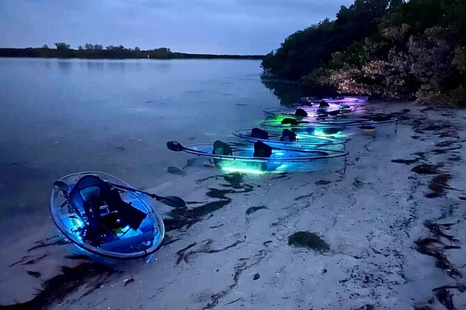 Shell Key Clear Kayak Sunset & Glow Tours - Price and value: is $84 worth it?