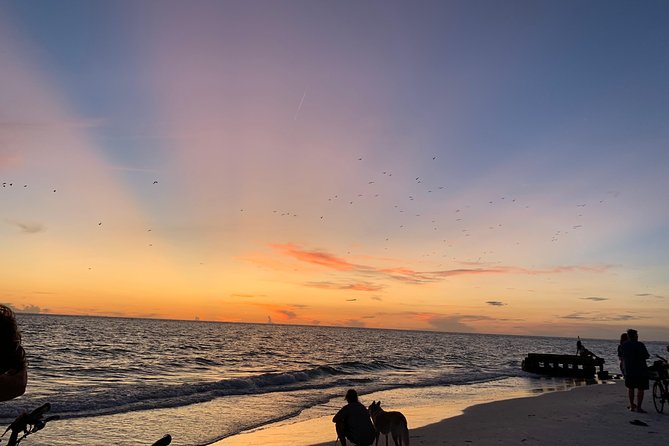 Siesta Key Electric Bike Sunset Tour - Picnic, cheese, fruit, and wine: what happens after the ride