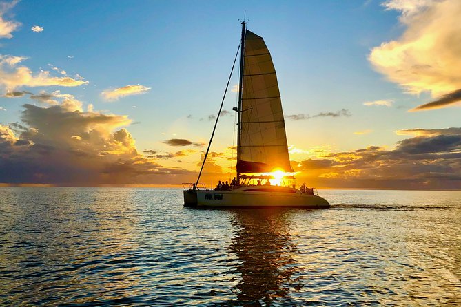 Sightseeing and Sunset Catamaran Sailing Excursion - Naples Catamaran Cruising on Cool Beans: Calm Water, Real Wildlife Chances