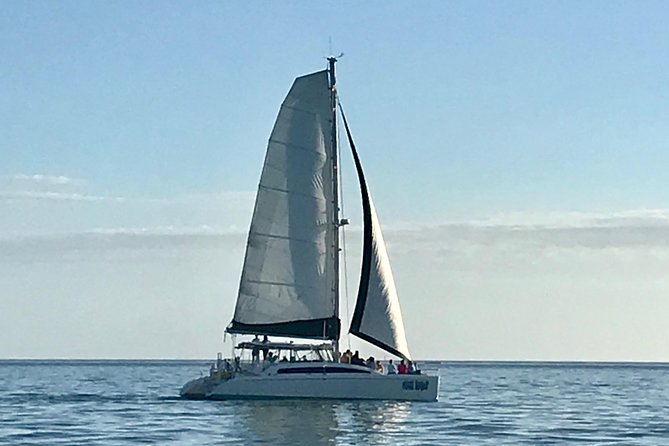 Sightseeing and Sunset Catamaran Sailing Excursion - Two Cruise Styles: Day Sail Fun or a Champagne Sunset