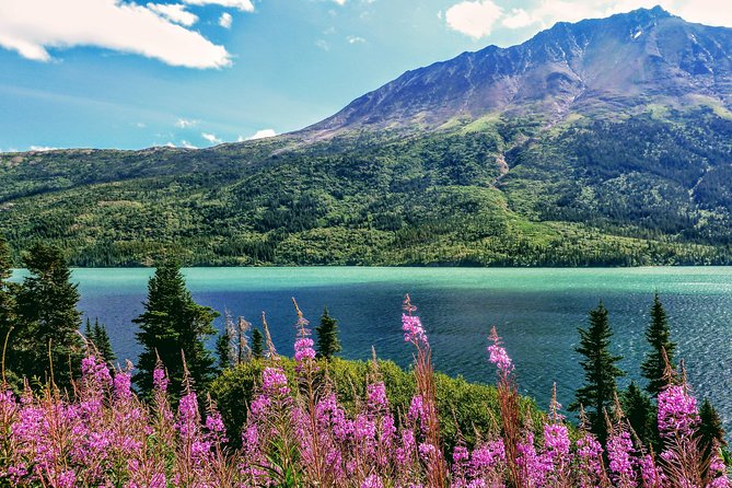 Skagway Shore Excursion: Full-Day Tour of the Yukon - Why This Yukon Day Tour Works from Skagway