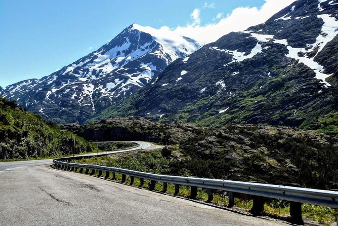 Skagway Shore Excursion: Half-Day Tour to the Yukon Border and Suspension Bridge - The Yukon Suspension Bridge: why the included crossing is the best stop