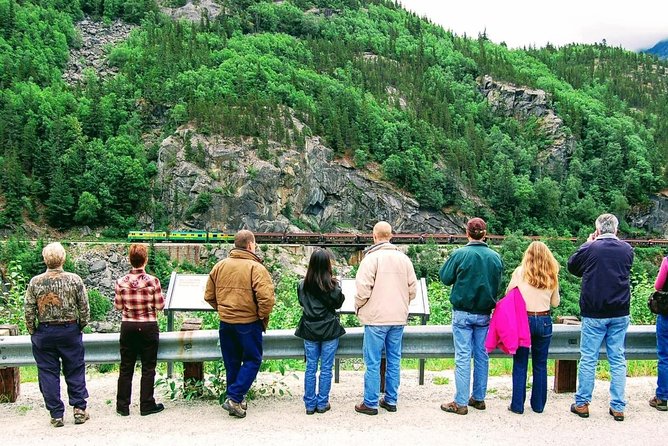 Skagway Shore Excursion: Half-Day Tour to the Yukon Border and Suspension Bridge - Price and what you actually get for $138.93