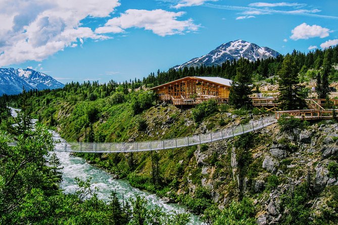 Skagway Shore Excursion: Half-Day Tour to the Yukon Border and Suspension Bridge - Climbing toward White Pass: Tormented Valley from the bus window