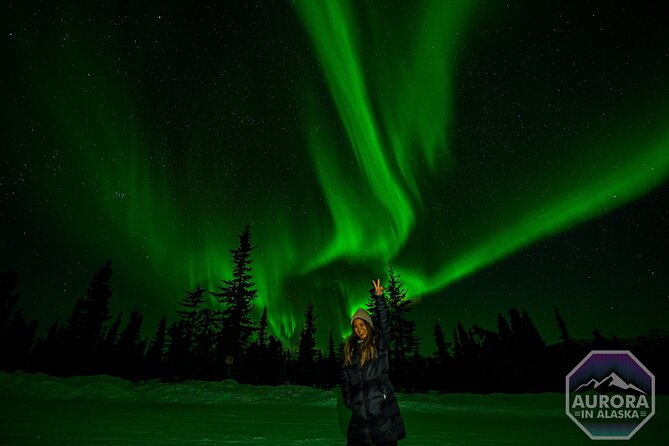 SkyChase™ | Northern Lights Experience - Free Photography & More - Chena, Two Rivers, and the forested viewing vibe