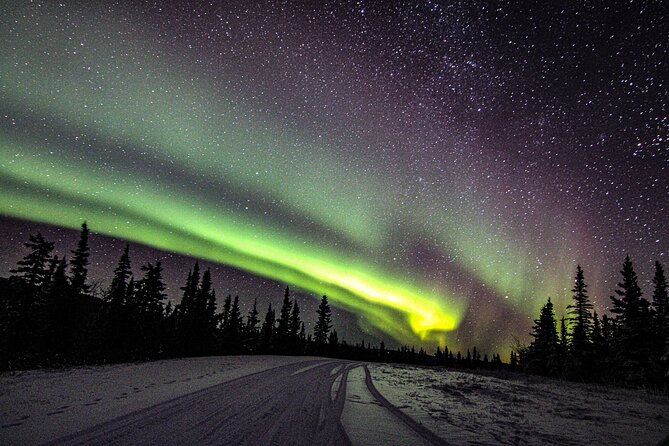 SkyChase™ | Northern Lights Experience - Free Photography & More - Chena Hot Springs region: calm air, steady chances
