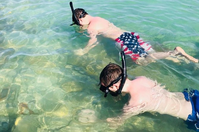 Small Group 2 Hour Dolphin Cruise with Snorkeling to Shell Key - Dolphin Watching Off St. Pete Beach, Then Shell Key’s Sand and Snorkel
