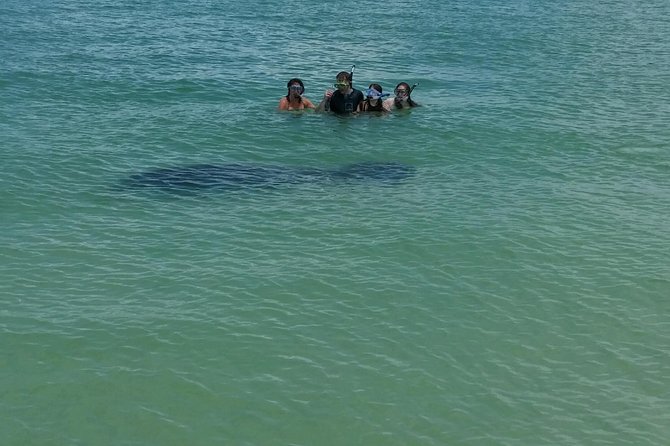 Small Group 2 Hour Dolphin Cruise with Snorkeling to Shell Key - Captains Matter: Noel, Megan, and Dave Set the Tone
