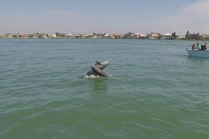 Small Group 2 Hour Dolphin Cruise with Snorkeling to Shell Key - What the 2 Hours Feels Like (and Where Time Goes)