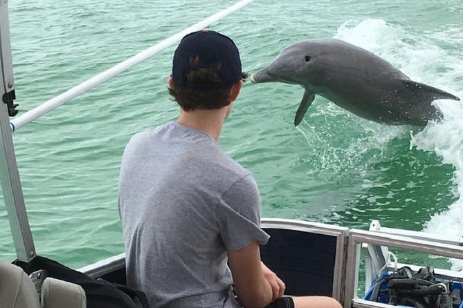 Small Group 2 Hour Dolphin Cruise with Snorkeling to Shell Key - Price and What You Actually Get for $75