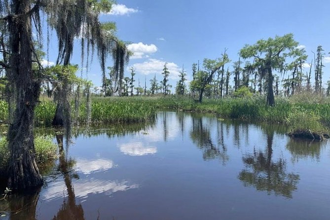 Small-Group Airboat Swamp Tour with Downtown New Orleans Pickup - Barataria Preserve Stop: How the Tour Blends Speed With Wildlife Time