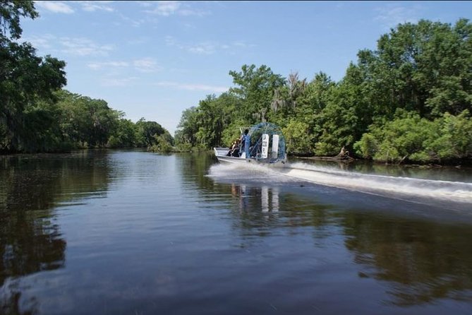 Small-Group Airboat Swamp Tour with Downtown New Orleans Pickup - On the Airboat: Stadium Seating, Fan Power, and Photo-Friendly Stops